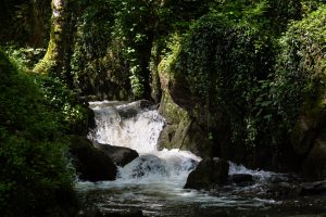 The Devil's Breach - Graf van Marie Joly