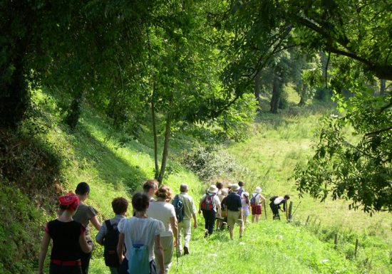 Lo stagno dell'Ergoutel