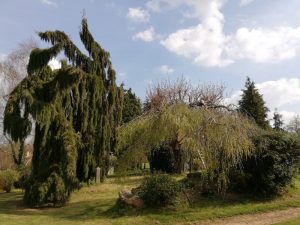 La Fattoria Bourg