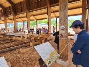 La Mora – chantier spectacle