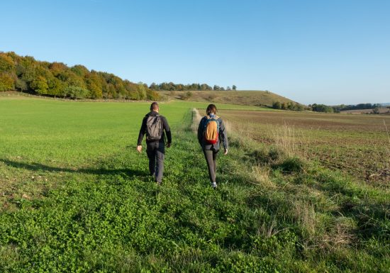 Le Coteau de Mesnil-Soleil