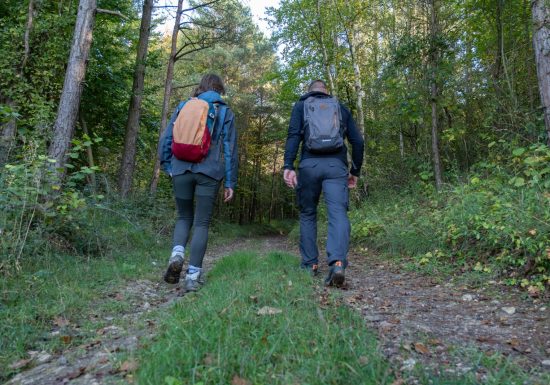 Le Coteau de Mesnil-Soleil