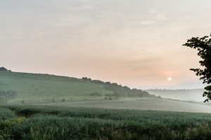 Réserve Naturelle Nationale  du Coteau de Mesnil-Soleil – Monts d’Eraines