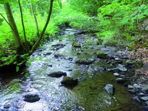 21- À la conquête de la Suisse Normande