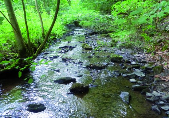 21- À la conquête de la Suisse Normande