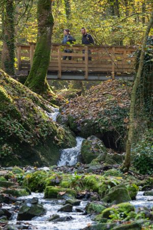 62- Le Diable aux trousses