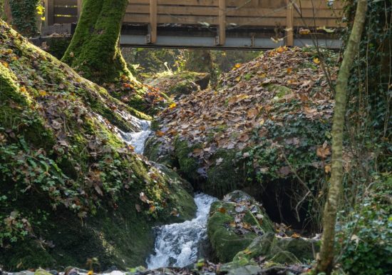 62- Le Diable aux trousses