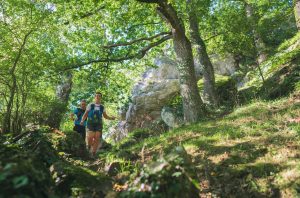 36- À la poursuite d’Arlette