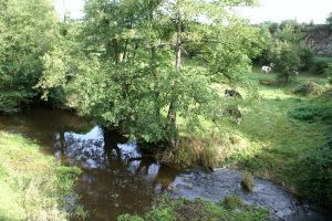 35- La Conquérante en Suisse Normande