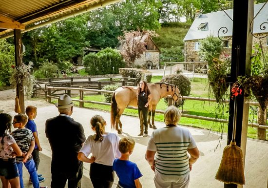 Théâtre équestre de la Pommeraye