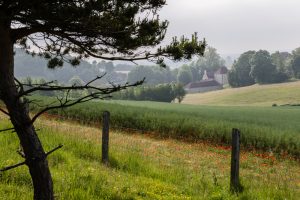 Réserve Naturelle Nationale  du Coteau de Mesnil-Soleil – Monts d’Eraines
