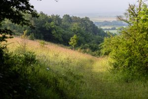 Réserve Naturelle Nationale  du Coteau de Mesnil-Soleil – Monts d’Eraines