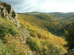 Circuit équestre de la Roche d’Oëtre