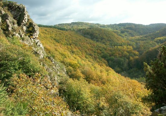 Itinerario della Roche d'Oëtre – Normandia Svizzera a cavallo